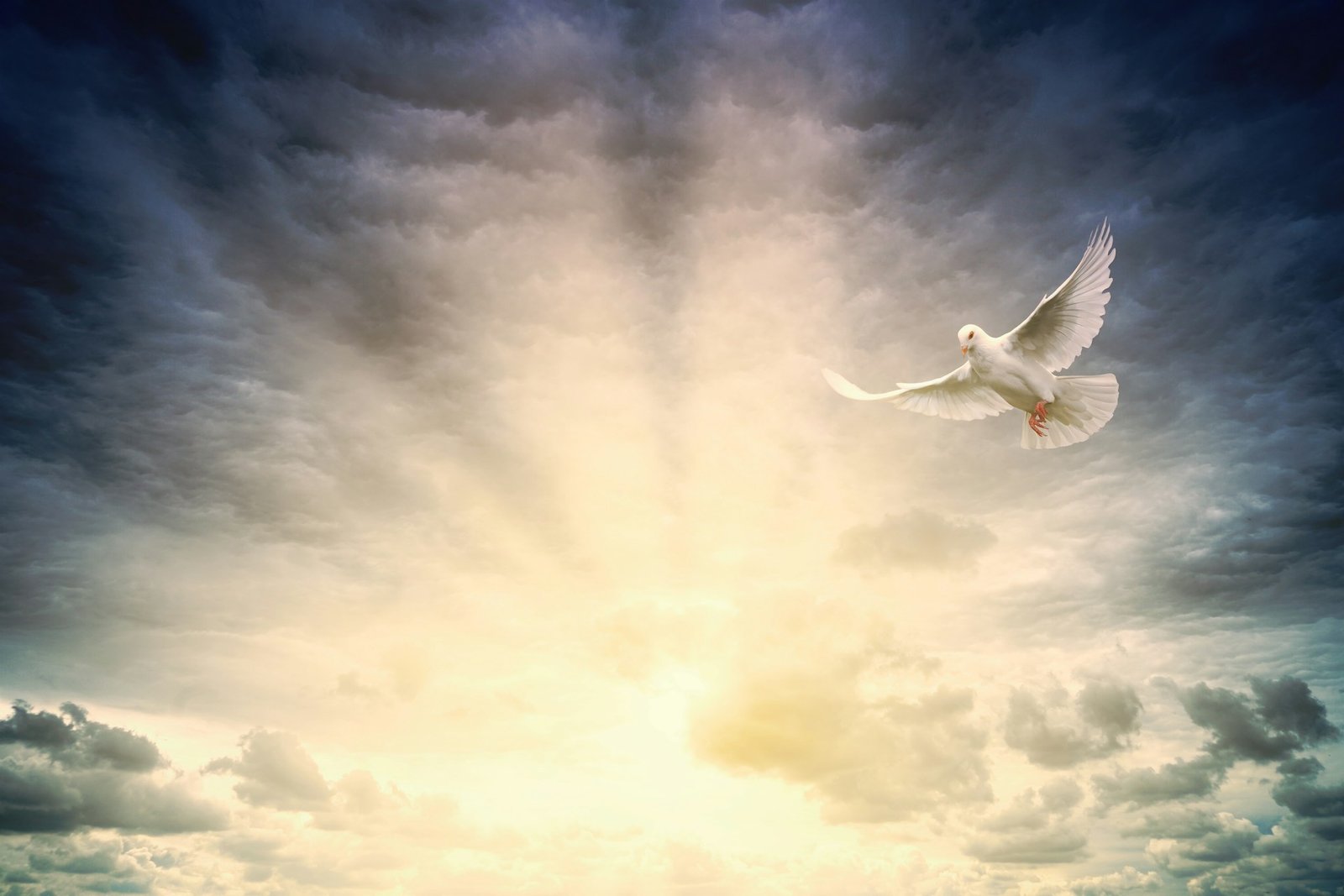 Read more about the article Baptism With The Holy Spirit